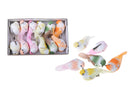 Set 24 Uccellini con Clip Larghezza 10 cm