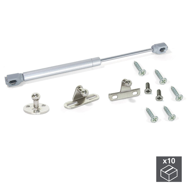 acquista Gaskolben für Klapptüren 5 Kg Hub 80 mm Metallic Grau 10 Stück Emuca