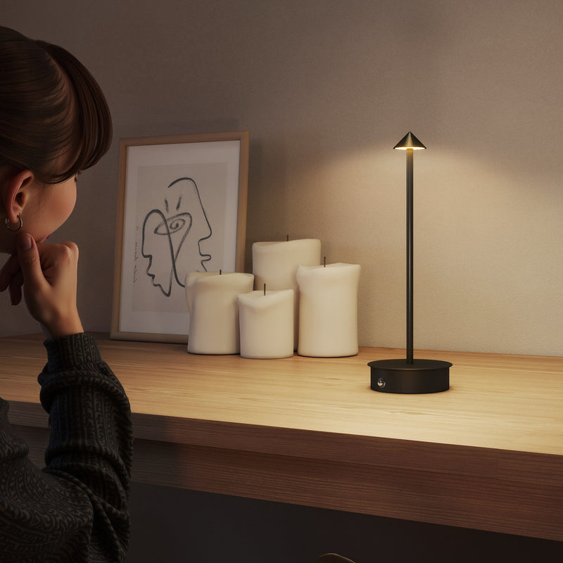 Lampada da Tavolo Touch Luce Led 3 Tonalità Ricaricabile con USB in Acciaio Nero  