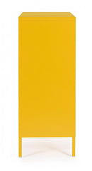Mobile Basso 2 Ante 40x80x101,5 cm Cambridge in Acciaio Giallo