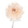 Set mit 12 Pfingstrosen-Picks Ø11 cm Beige