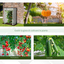 Serra da Giardino 100x50x150 cm in PVC Trasparente