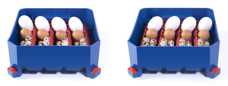 Incubatrice per Uova Termoisolante con Biomaster Borotto Lumia 16