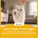 Lettiera per Gatti Chiusa 48x35x36 cm con Vassoio Estraibile Paletta e Deodorante in PP e ABS Grigio      