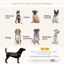 Cuccia Divano per Cani da Interno 82x54x36 cm in Legno di Betulla e Rivestimento Effetto Velluto Grigio Chiaro  