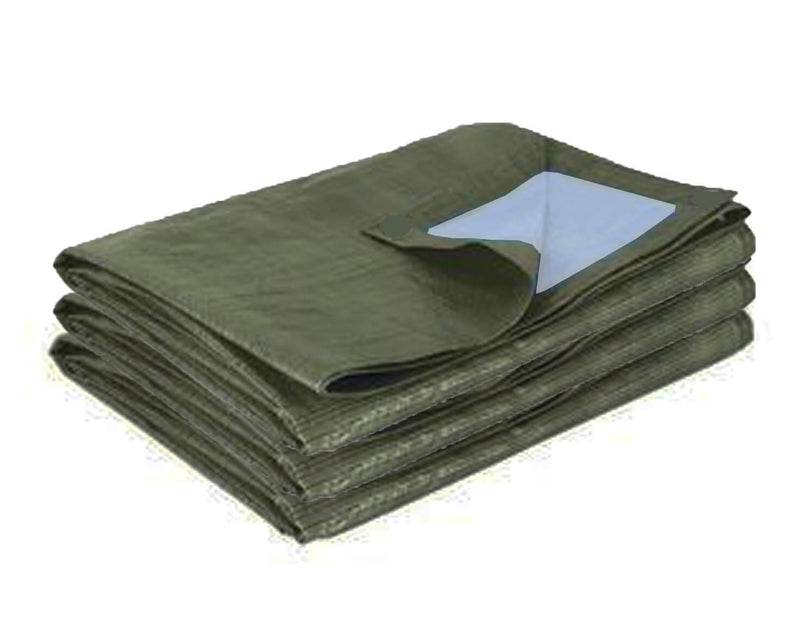 Casetta Box da Giardino 3,7x3,7xh2,4 m in Tessuto Polietilene Rinforzato 195gr/mq Verde