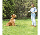 Collare per Addestramento dei cani a vibrazione con display luminoso