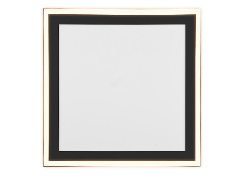 Plafoniera da Interno a LED in Plastica Nero Opaco