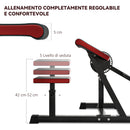 Panca Romana 2 in 1 per Curl e Tricipiti Regolabile 105x95x80 cm Nero 