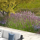 Recinzione Esterna a 4 Pannelli 348x110 cm con 8 Picchetti In Acciaio Nero  