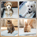 Set 100 Tappetini Assorbenti Traversine Igieniche 45x60 cm a 6 Strati 