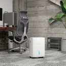 Deumidificatore Portatile 30L/Giorno Serbatoio 4L 3 Velocità e 4 Funzioni con Timer Bianco  