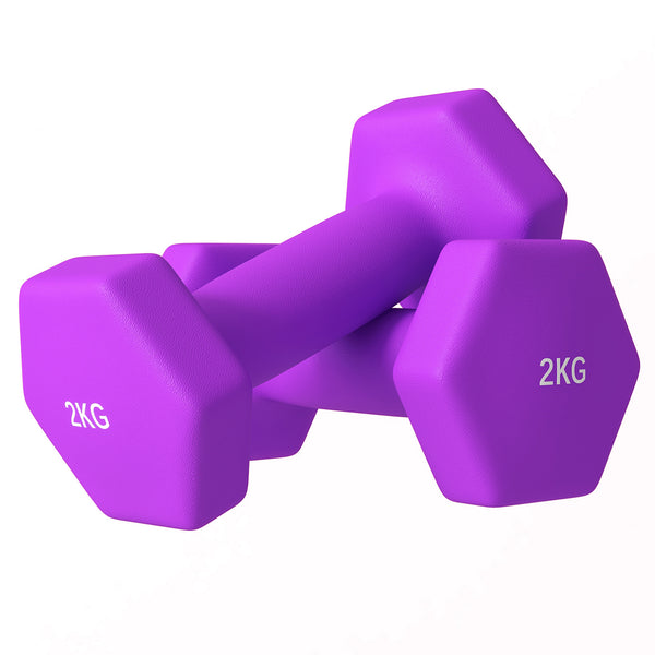 Set 2 Manubri Palestra 2 kg Pesi esagonali per Allenamento Viola sconto