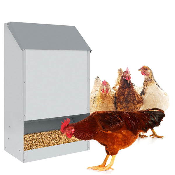 online Mangiatoia per Galline 35x20x63 cm Capienza 23kg in Acciaio Zincato
