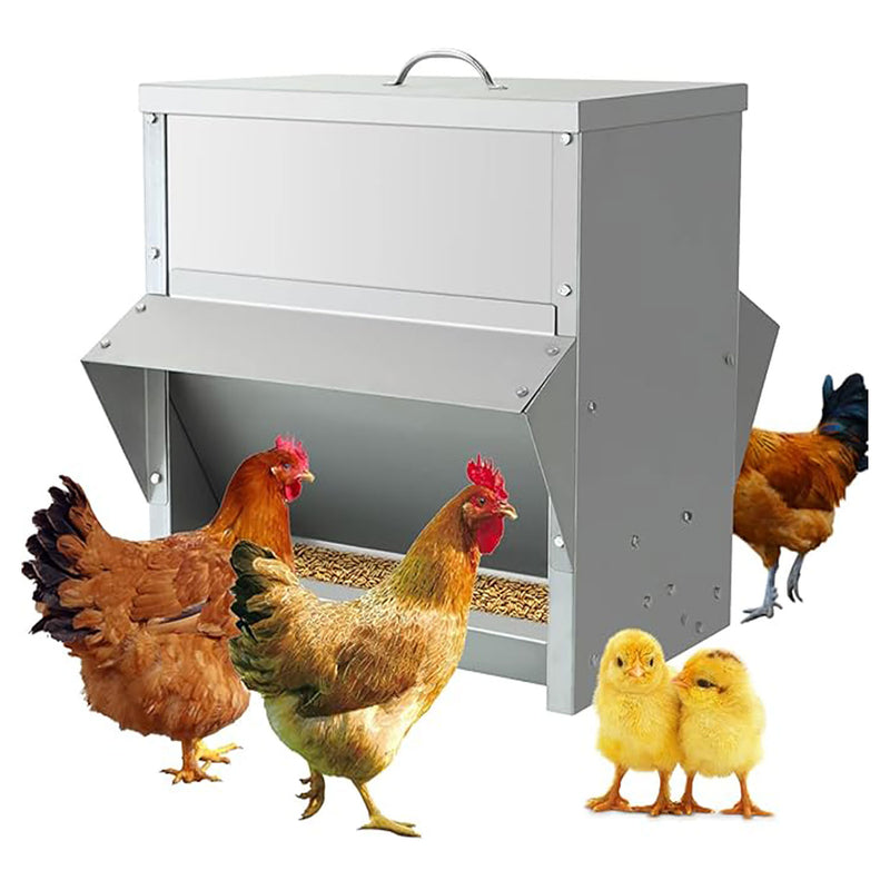 Mangiatoia per Galline 41x45x46 cm 2 Lati Capienza 30kg in Acciaio Zincato  