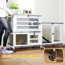 Conigliera a 2 Livelli 147x45x89,5 cm con Rampa e 3 Vassoi  in Legno di Abete e Acciaio Grigio e Bianco  