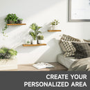 Set 3 Mensole 30/40/50x18x3,6 cm in Legno di Pino  Marrone