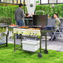 Barbecue a Gas con Piastra e Fornello Coperchio con Termometro Regolatore e Tubo Inclusi Nero   