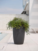 Vaso in Polietilene Meti 30 Antracite Varie Misure