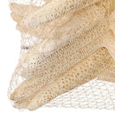 Stelle Marine Sbiancata 10 Pz 15x20 cm