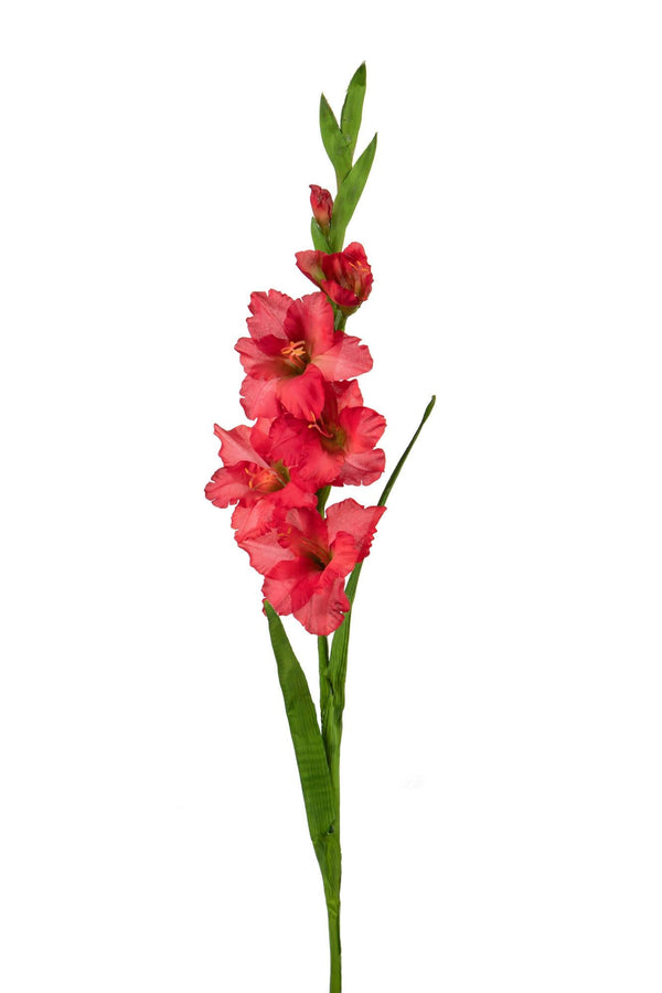Set 8 künstliche Gladiolenblüten Mini Höhe 74 cm Rot acquista