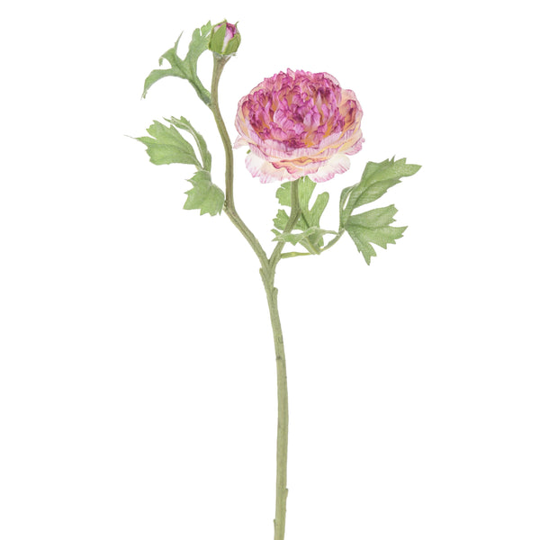 online Set 8 Ranunkeln mit 2 Kunstblumen Höhe 46 cm