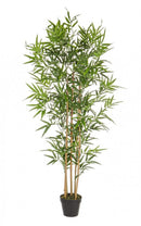 Set 2 Piante Artificiali di Bamboo 70x70x155 cm in Plastica con Vasi Verde