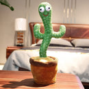 Pianta Danzante Parlante Cactus che Ripete Suoni e Voci