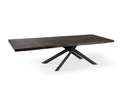 Tavolo Allungabile 200/300x100x76 cm in Frassino Spike  Naturale
