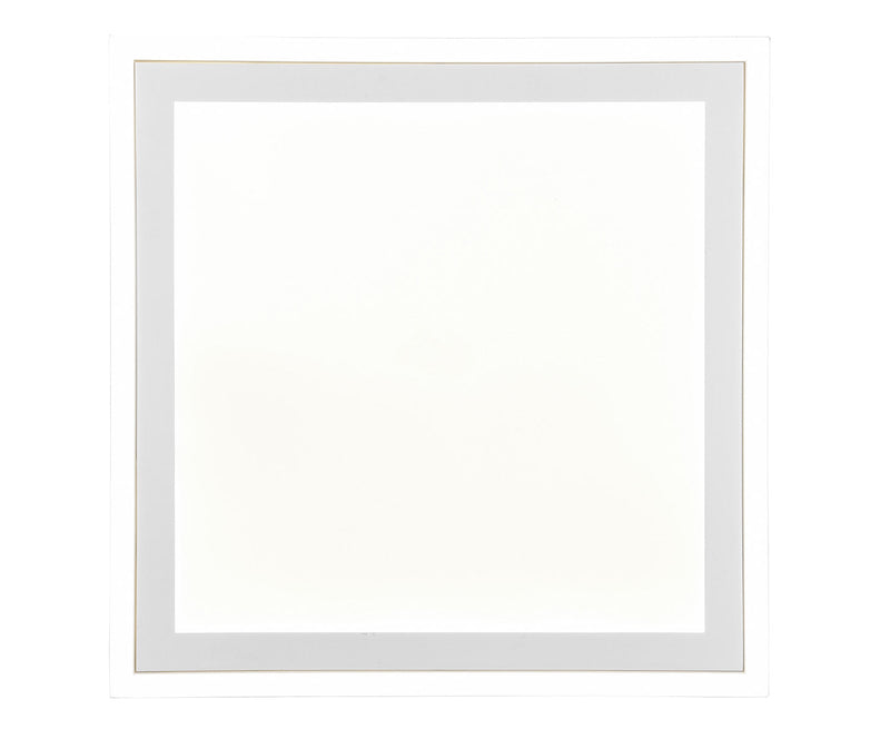 Plafoniera da Interno a LED in Plastica Bianco Opaco
