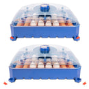 Incubatrice per Uova Professionale con Biomaster Borotto Lumia 56