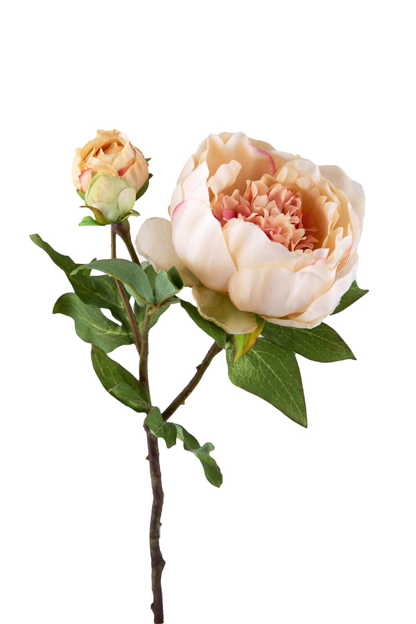 sconto Set 6 romantische künstliche Pfingstrosen mit 3 Blumen Höhe 49 cm beige