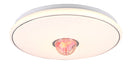 Plafoniera da Interno a LED in Plastica Bianco