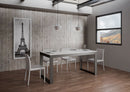 Tavolo Allungabile 160-420x90x77 cm Tecno Evolution Bianco Frassino