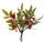 Set 12 Pick Ruscus 16 cm Rot/Grün