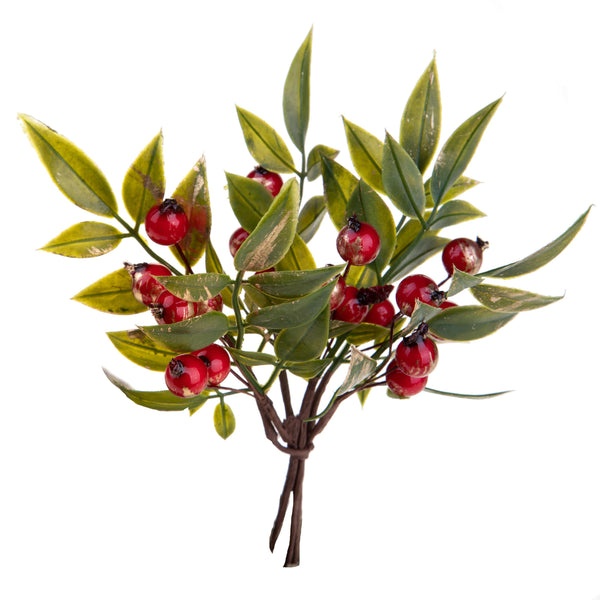 Set 12 Pick Ruscus 16 cm Rot/Grün online