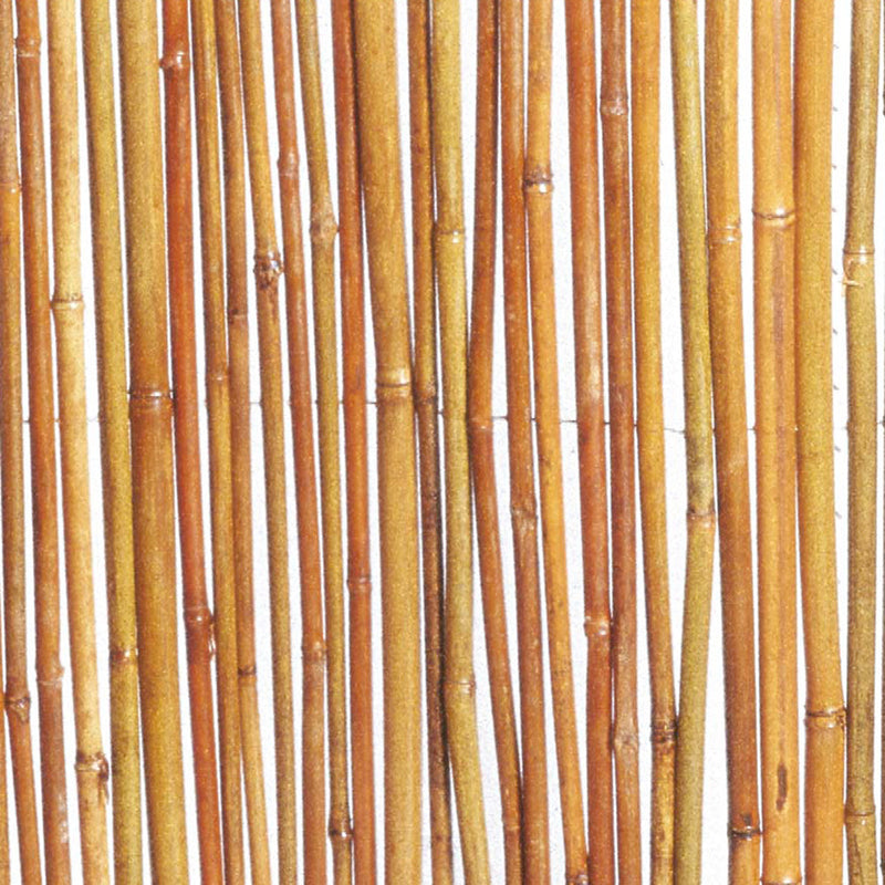 Arella Frangivista da Giardino in Bamboo 1x3m Rama Canes Naturale