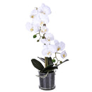 Pianta Artificiale di Phalaenopsis Artificiali con Vaso Altezza 48 cm Bianco