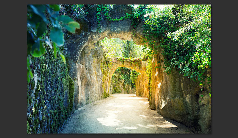 Fotomurale - Via Naturae Carta Da Parato Erroi