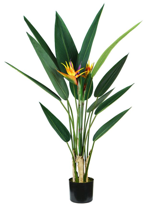 sconto Strelitzia Kunstpflanze H120 cm mit grünem Topf