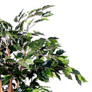 Ficus Artificiale con 1296 Foglie con Vaso Altezza 180 cm Verde