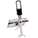 Faretto Solare a LED da Giardino 68x37x16 cm in Alluminio Argento Nero e Bianco