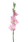 Set 4 künstliche Gladiolenblumen Höhe 85 cm Rosa