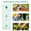 Serra Piccola 240x90x90 cm con 2 Finestrelle Laterali e Finestra Centrale in Acciaio PE e PP Verde  