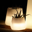 Vaso Luminoso da Giardino a LED 40x35x27 cm in Resina 5W Magnolia Bianco Neutro