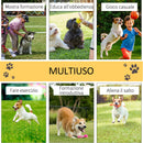Set Addestramento Cani da Esterno con Ostacoli Slalom e Tunnel