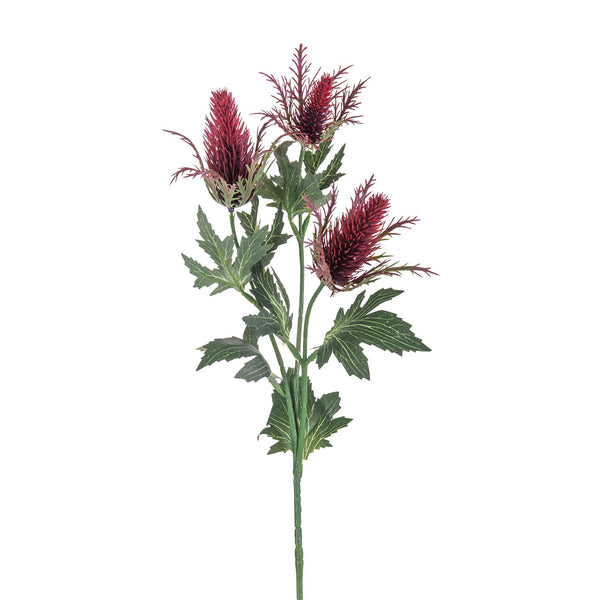 Set 8 künstliche Eringium-Pflanzen, bestehend aus 3 Blumen, Höhe 68 cm, Bordeaux sconto