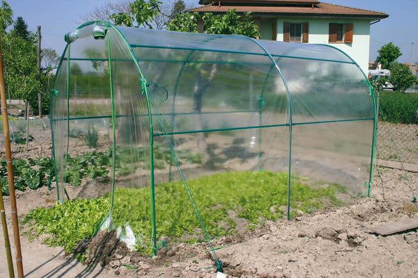 Tunnel-Gartengewächshaus aus hochwertigem grünem Rama-Stahl sconto