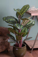 Amaranta Peacock Artificiale con Vaso Altezza 122 cm Verde