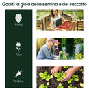 Serra da Giardino con Porte a Cerniera 250x100x80 cm in Acciaio e PVC Trasparente